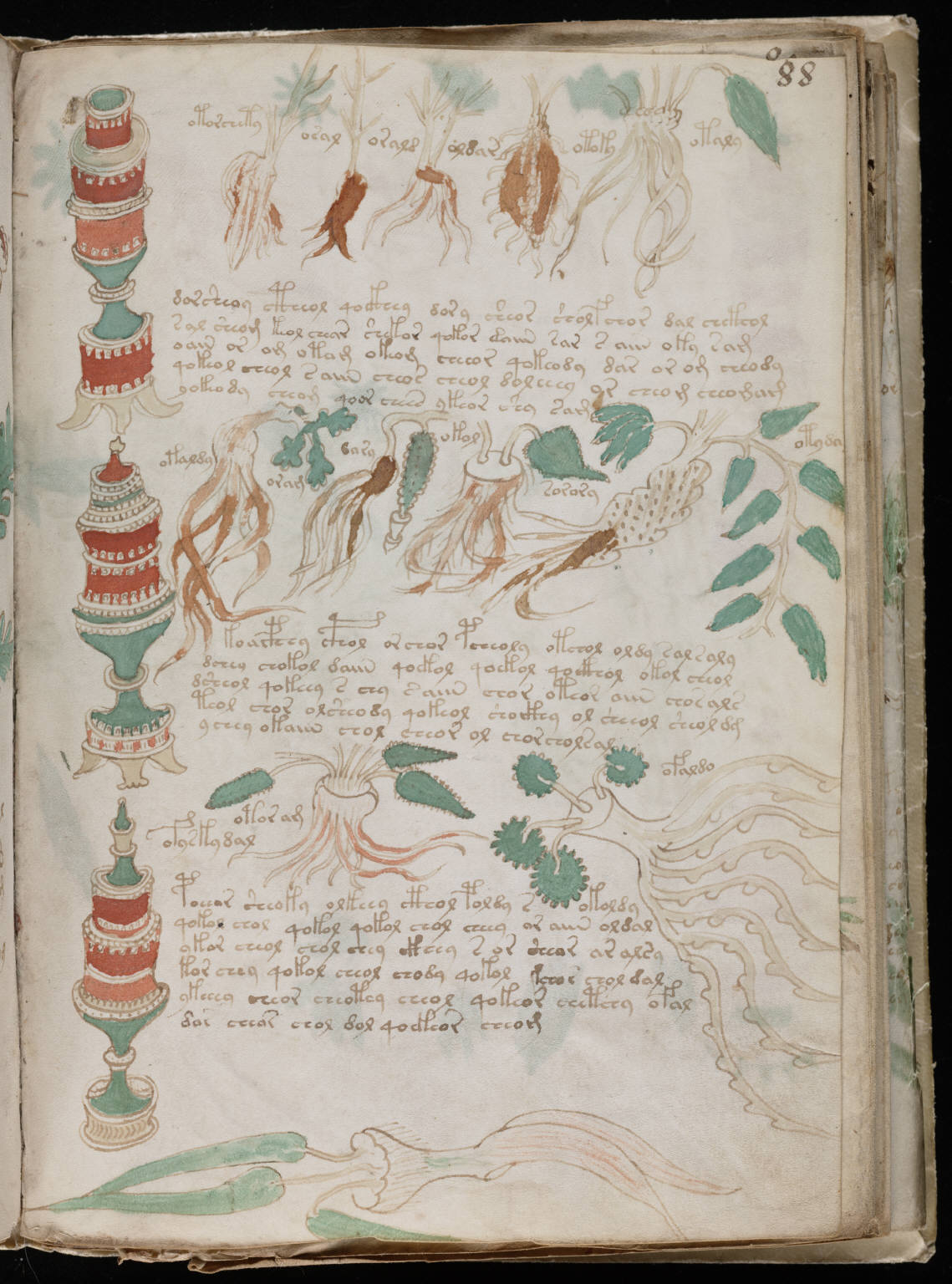 Page du manuscrit de Voynich